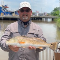 ANCO Insurance Employee Ronnie O’Neal's profile photo