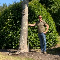 O-TREES BV Employee Peter Ooms's profile photo
