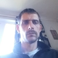 Flowplant Group Limited Employee Greg Feltham's profile photo