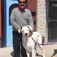 The Merritt Search Group Employee Rick Kesic's profile photo