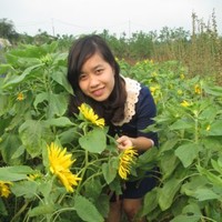 AMVNX Employee Mai Pham's profile photo