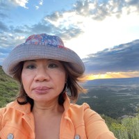 Pat Chan Email & Phone Number