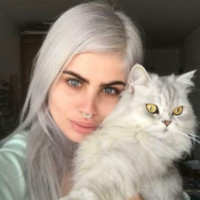 slikklabs.com Employee Stav Monsky's profile photo