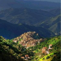 flightcatchers.com Plc Employee Hamza Latif's profile photo