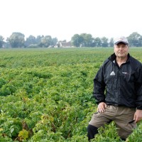 Lars-Inge Nilsson's profile photo