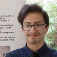 American Medical Response Employee Daniel Silberstein's profile photo