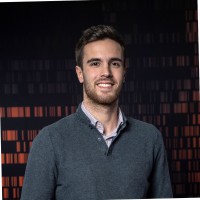 Renato Borges Email & Phone Number