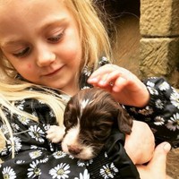 Hunley Hotel & Golf Club Employee Wendy Boyes's profile photo