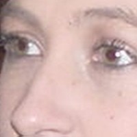 Monica Arnoldi Email