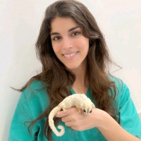 Fundación Rof Codina Employee Karla Zehni's profile photo