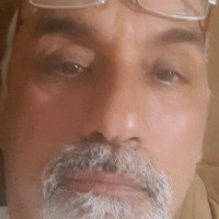Boll Employee ابراهیم عباسی's profile photo