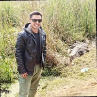Premanshu Singh Email