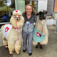 PROVIDENCE PORTLAND MEDICAL CENTER Employee Lynette Ungerecht's profile photo