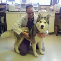 Michigan Humane Employee Bridget Garrity's profile photo