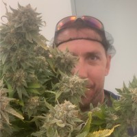 Andrew White Email