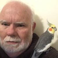 Square Peg Learning and Training Employee Peter Edman's profile photo