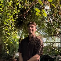 BIT ODD Employee Jesse Seppälä's profile photo