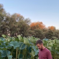 doslab Employee Vladimir Lukoyanov's profile photo