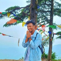 Bazil Anthony Email