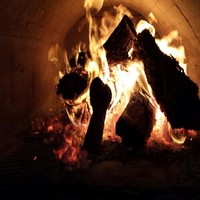 Zuni Cafe Employee Kyle Fong's profile photo