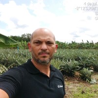 Gelso Lopes Email