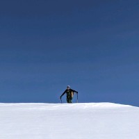 Nicola Bottino Email