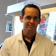 Université de Nantes Employee Stéven Renault's profile photo