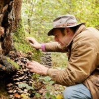 Bristol Fungarium Employee Tom Baxter's profile photo