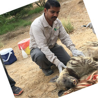 Indra Subedi Email & Phone Number