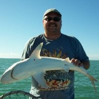 Mark Spears Email & Phone Number