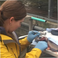 Washington Department of Fish & Wildlife Employee Kelly Britt's profile photo