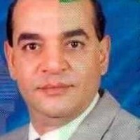 Travel Tours Agency Ltd Employee Adel Madbouly's profile photo