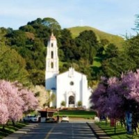 MapR Technologies Employee Curt Jernigan's profile photo