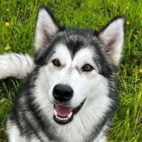 Brighton & Hove Albion Foundation Employee Billy Readman's profile photo