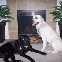 Dan Swenson Email & Phone Number