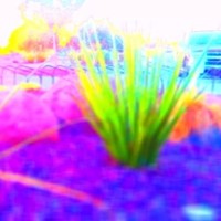 Eric Dutcher Email & Phone Number