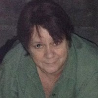 Vicki Palmer Email & Phone Number