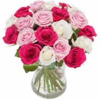 Jean Yves Duval Email