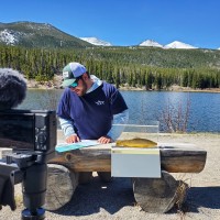 International Game Fish Association Employee Nick Degennaro's profile photo