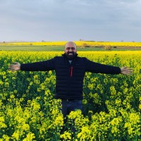 dimi Employee Ferhat Dayi's profile photo