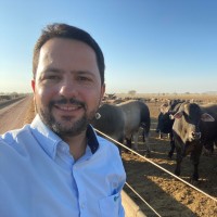Rafael Guerra Email