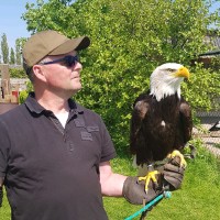 DECOVAN MACHINES Employee Maurice Mertens's profile photo