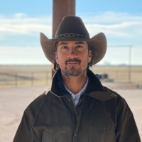 Advanced Perfusion Diagnostics Employee Laszlo Hunyadi's profile photo