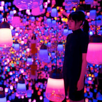 teamLab Inc. Employee Maya Shen's profile photo