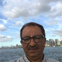 Unitech Limited Employee Amit Verma's profile photo