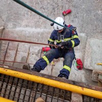 Alex Rose's profile photo