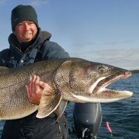 Great Lakes Fishery Commission Employee Andrew Muir's profile photo
