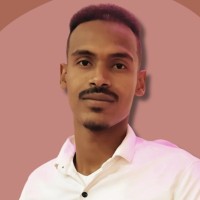 Responsive Drip Irrigation Employee Ahmed Hussein's profile photo