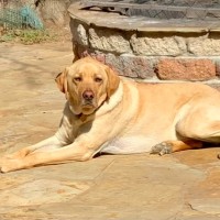 StaffMyAgency Employee Penny Everett's profile photo