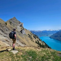 Ritelite (Systems) Ltd Employee Brett Virgin's profile photo